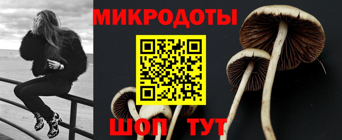 Галлюциногенные грибы Psilocybine cubensis  Вход с VPN  как найти закладки  Энгельс 