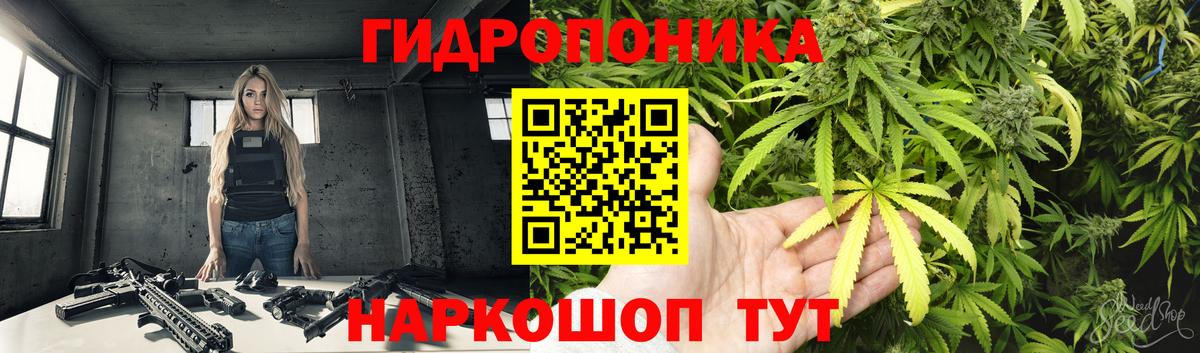 Конопля SATIVA & INDICA Энгельс